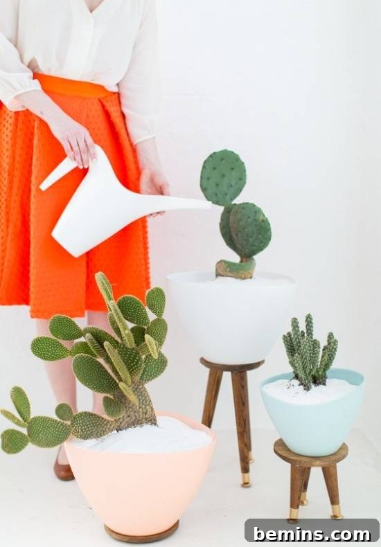 DIY Copper Pipe Air Plant Shelves Project