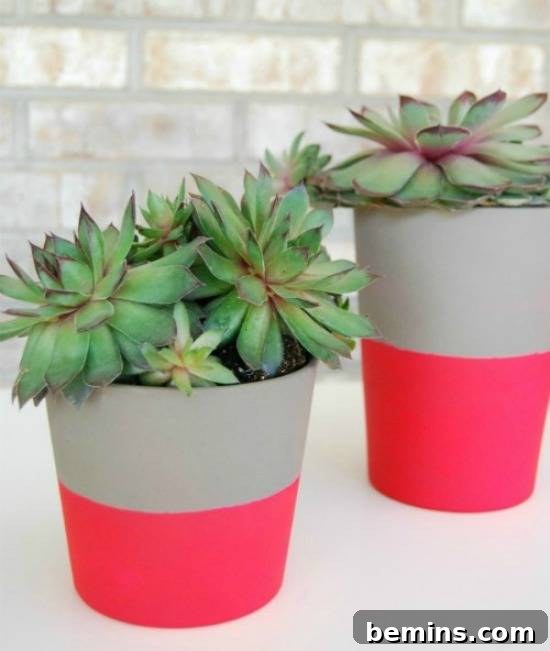 DIY Cactus Gardens in Glass Containers Project