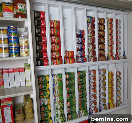 Inspiring Food Presentation Ideas: Storage & Display 7 DIY Can Dispenser