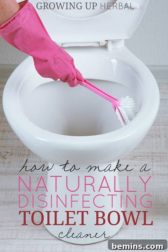 DIY Disinfecting Toilet Bowl Cleaner