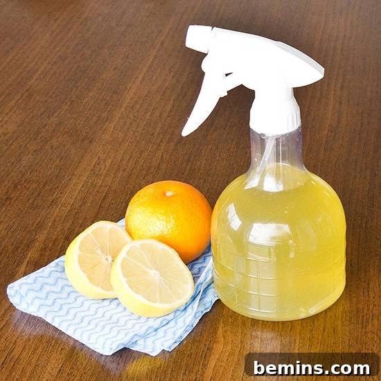 DIY Citrus Spray Cleaner