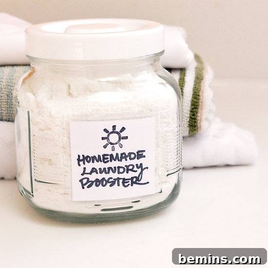 DIY Laundry Booster