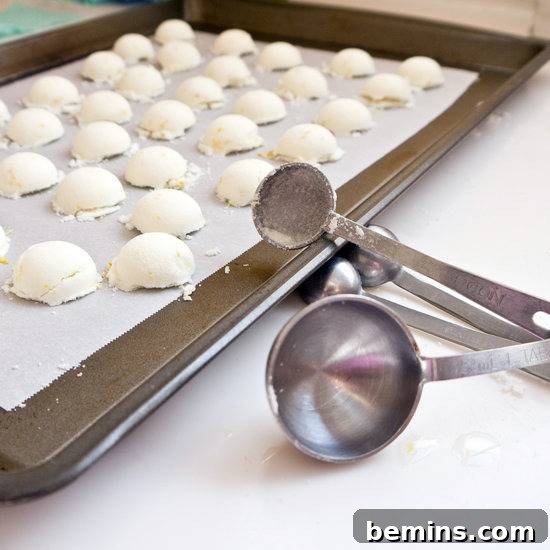 DIY Garbage Disposal Refreshers