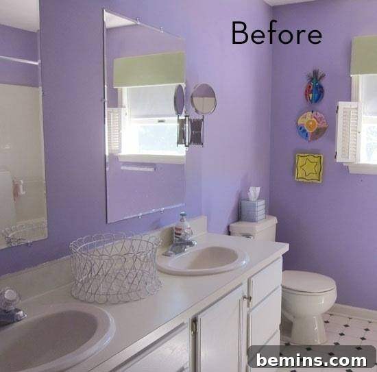 Before: Counter top with double sinks and double mirrors near a toilet in a bathroom needing a makeover.