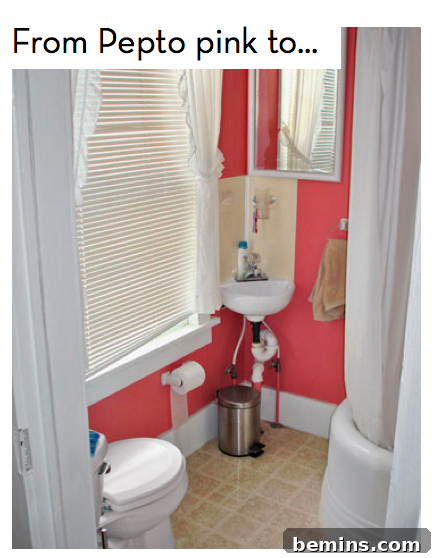 Before: A bathroom with outdated pink fixtures and a need for a modern update.