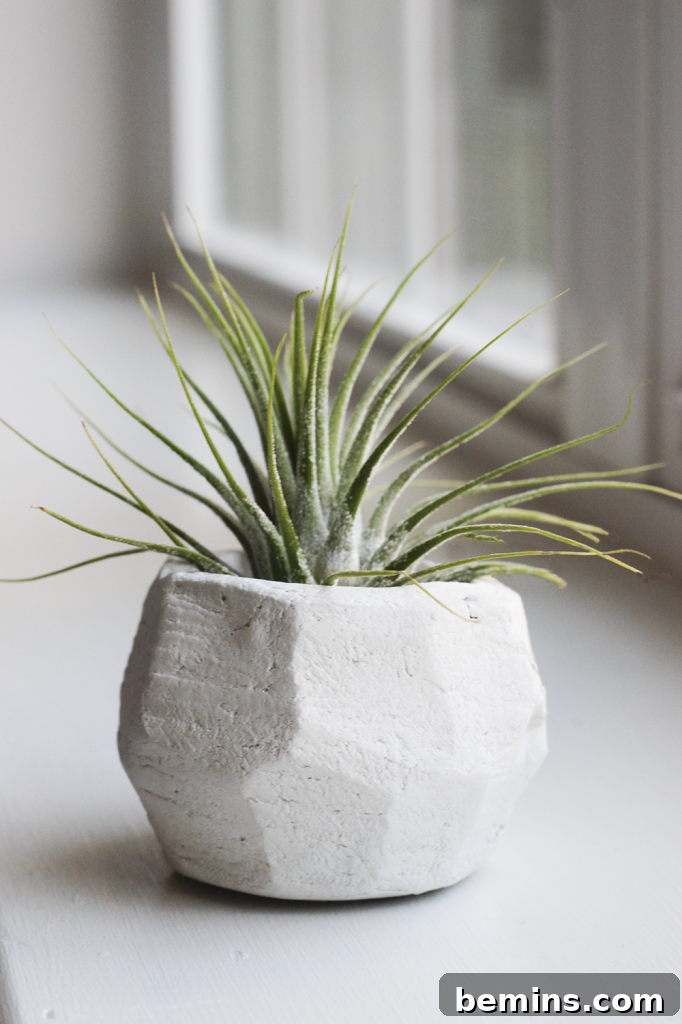 A geometric clay planter adding a modern and artistic touch to indoor plants.