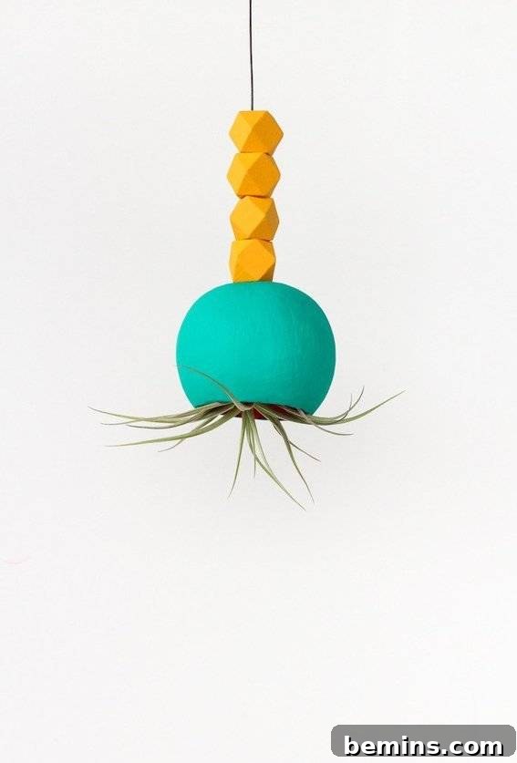 A colorful hanging air plant holder adding a vibrant and modern touch to a room.