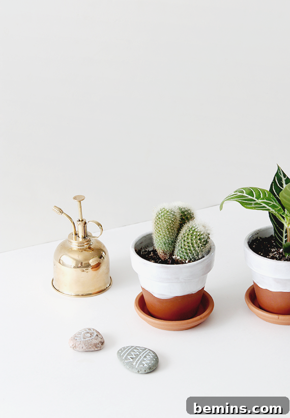 DIY half-glazed pots adding a modern and stylish touch to indoor plants.