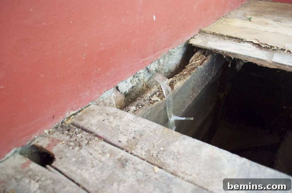 Damaged floorboards before repair