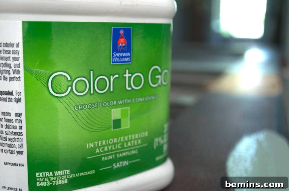 Sherwin Williams Color to Go paint samples