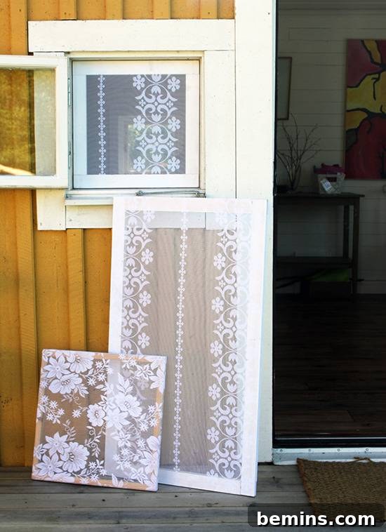 DIY lace window screens