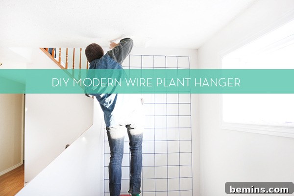 Transform Your Space: DIY Modern Wire Mesh Plant Hanger for a Vibrant Home