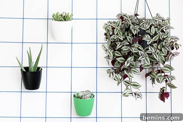 Aesthetic Basement Corner with Modern Plant Display