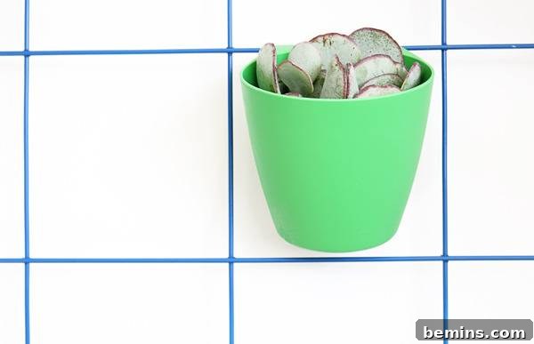 Close-up of DIY Modern Wire Plant Hanger with Greenery