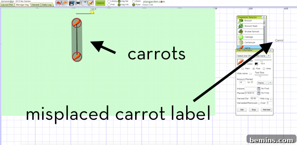 Carrots and label in Plan Garden.