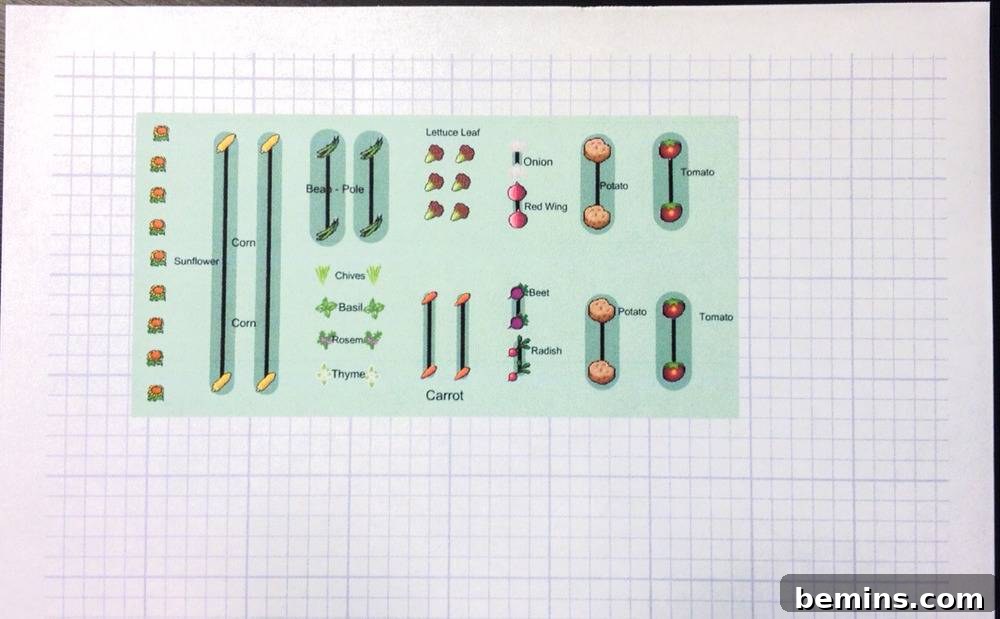 Plan Garden design printout.