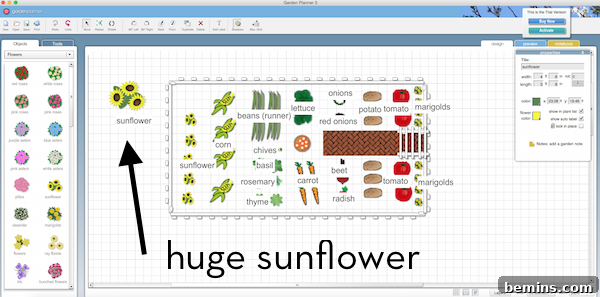 Resizing a sunflower in Small Blue Printer.