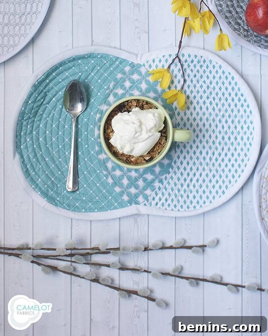 14 DIY Table Decor Projects to Elevate Your Dining Experience 10 Venn Placemats