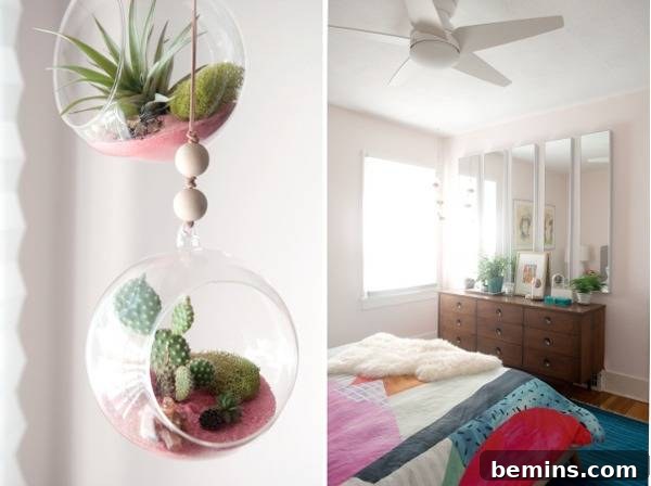 A hanging flower plant in a cozy white room.