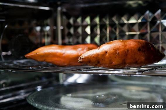 The Convection Mode: Perfect for Smaller Cooking Tasks