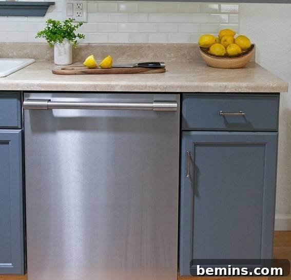 The Frigidaire Professional Dishwasher: Efficiency and Style