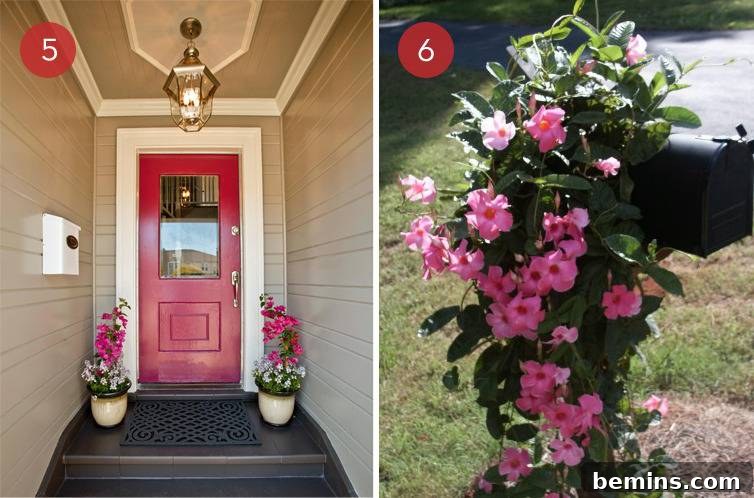 Boost Your Home's Curb Appeal: 10 Simple Steps 5 Brightly painted front door