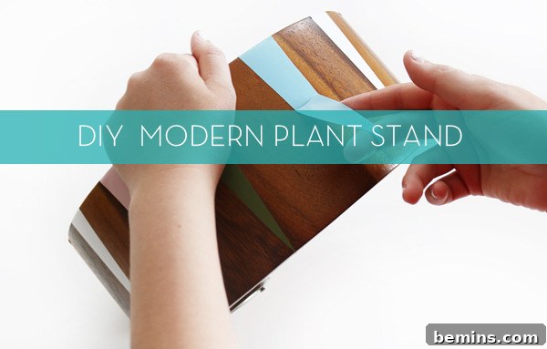 DIY Modern Plant Stand