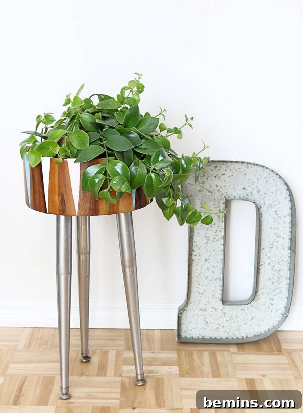 DIY Modern Plant Stand