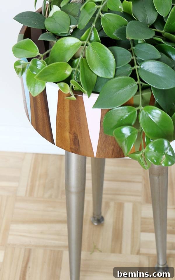 DIY Modern Plant Stand