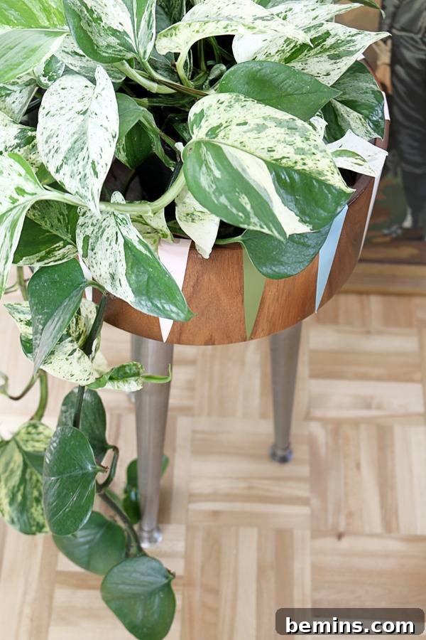 DIY Modern Plant Stand