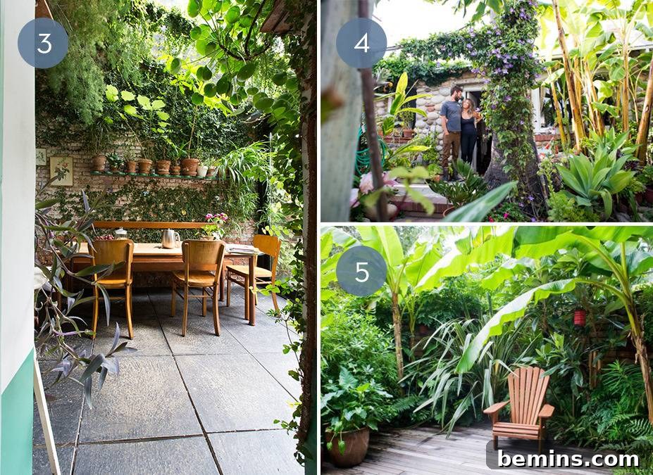 Lush Greenery Patio Without Grass