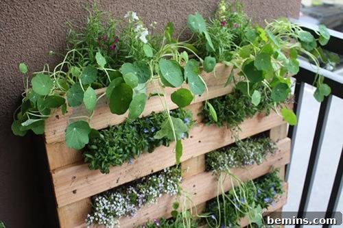 Raised garden bed made from pallets