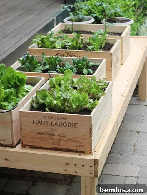 Raised garden using wine boxes