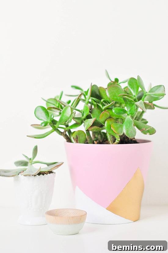 Micro garden using window space