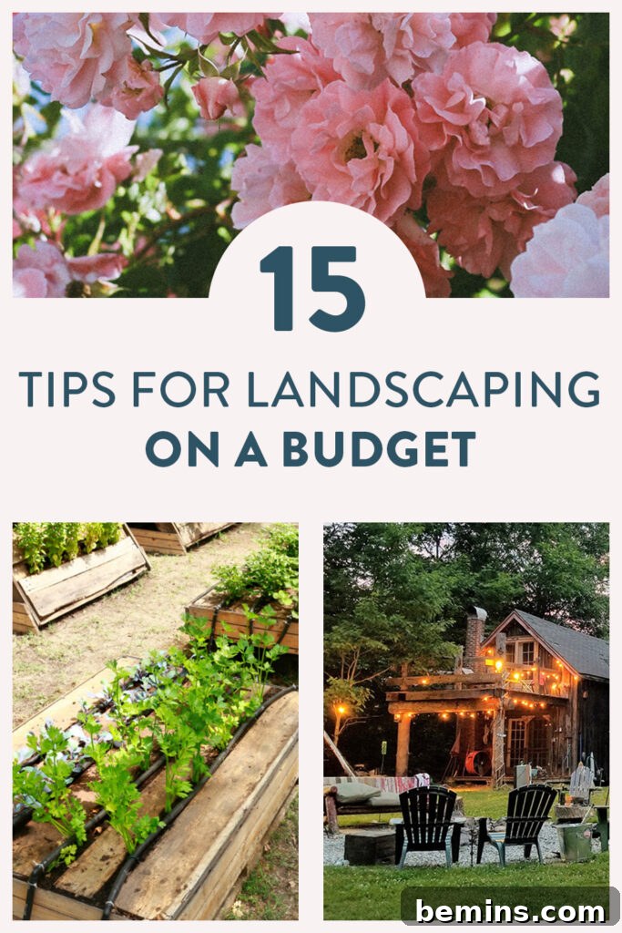 Budget landscaping tips
