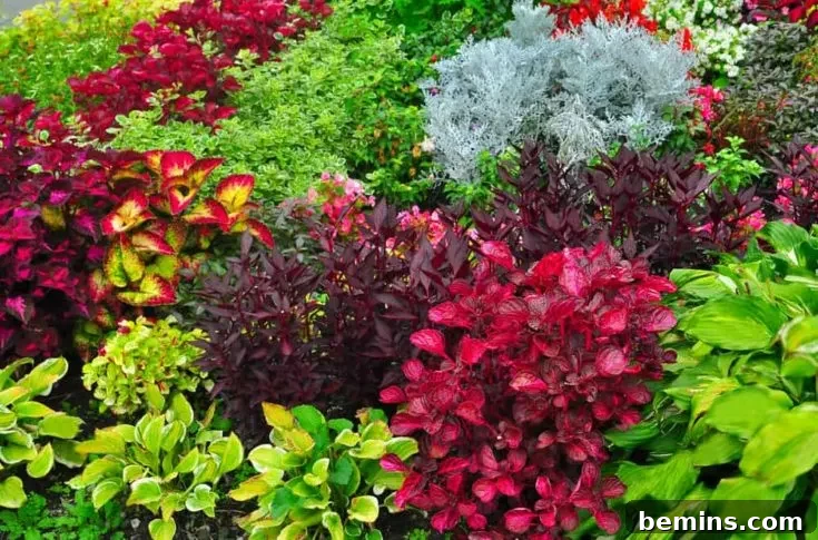 Brightly colored plants for visual impact