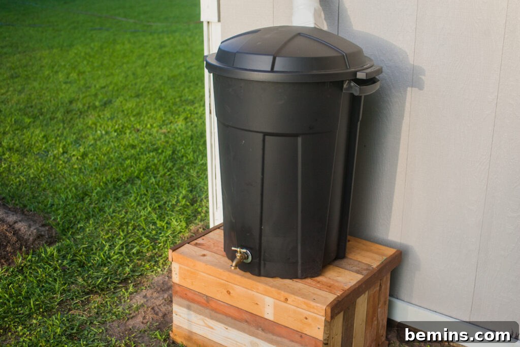 DIY rain barrel