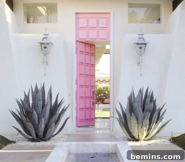 A modern contemporary home with a pink door flanked by spiky purplish cacti, creating a unique and charming entrance.