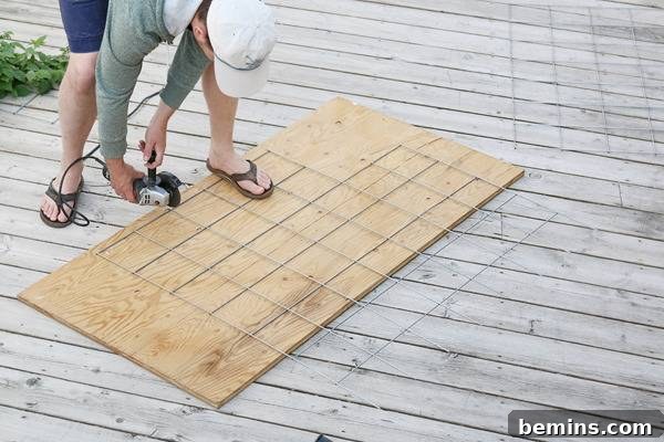 Cutting the Wire Mesh