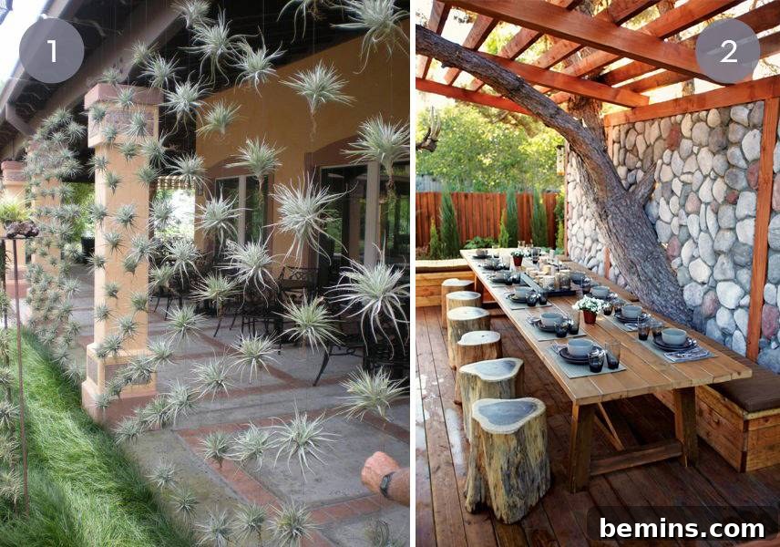 Modern patio with a lush vertical wall of air plants