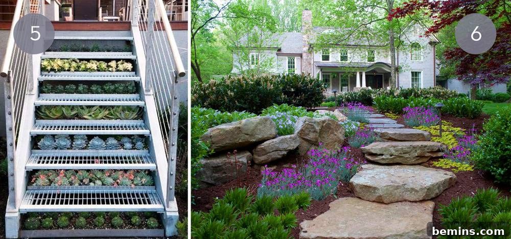 Outdoor stairs adorned with various vibrant succulents