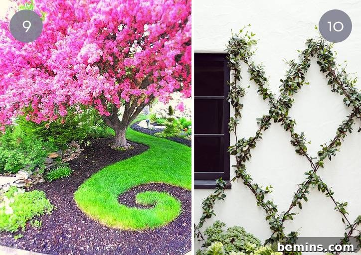 Modern garden featuring lawn grass cut into an intriguing, unusual shape