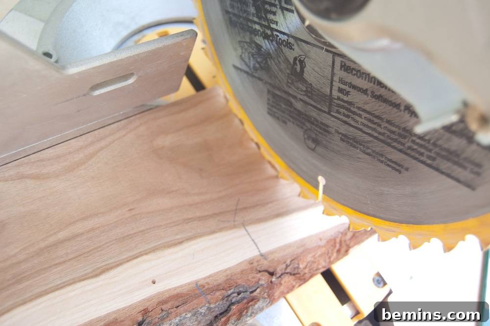 Cutting Wood with a Chainsaw