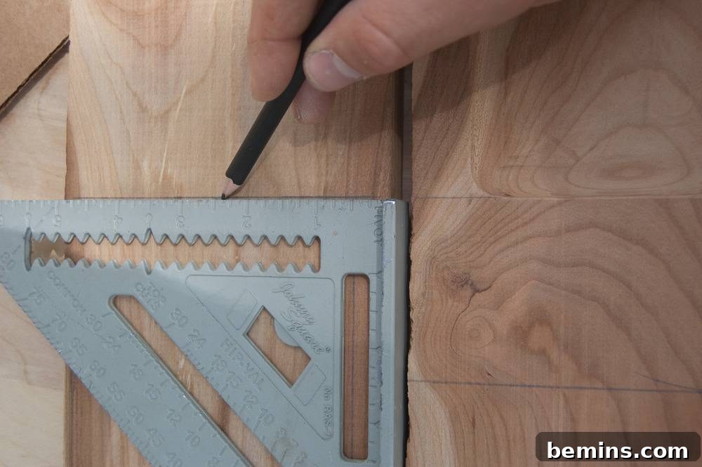 Drawing Lines for Compartments