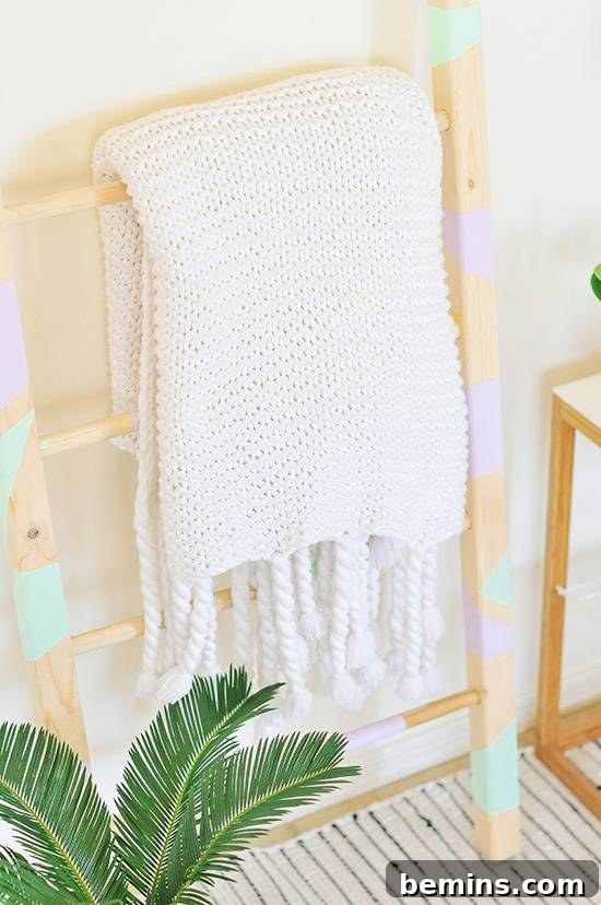DIY Vertical Succulent Garden from an Old Ladder 12 Using Ladder for Blankets