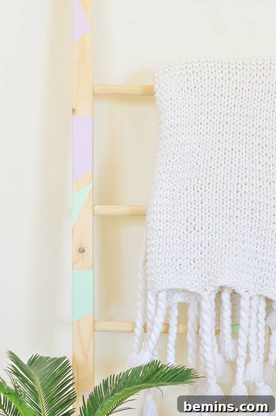 DIY Vertical Succulent Garden from an Old Ladder 13 Using Ladder for Blankets