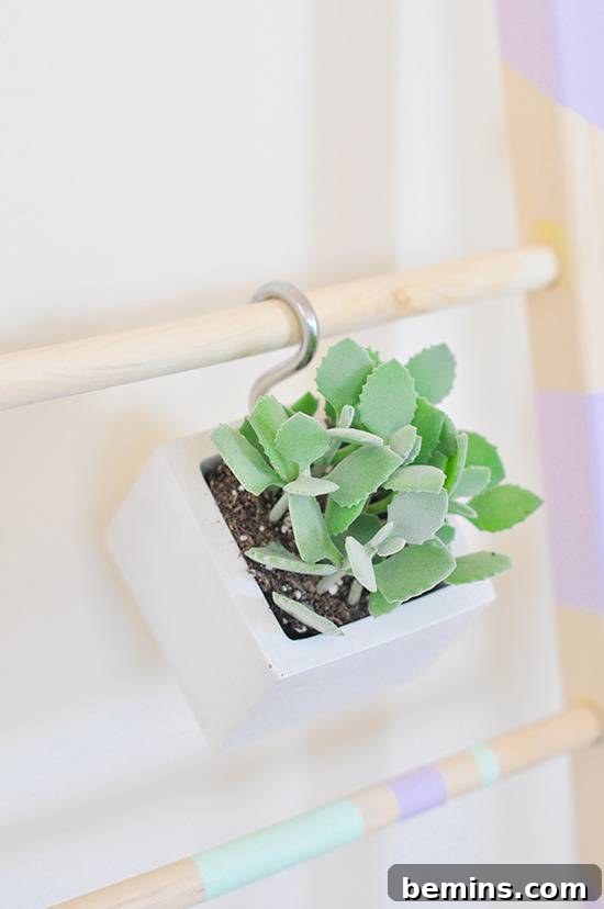 DIY Vertical Succulent Garden from an Old Ladder 16 Hanging Succulents on the Ladder