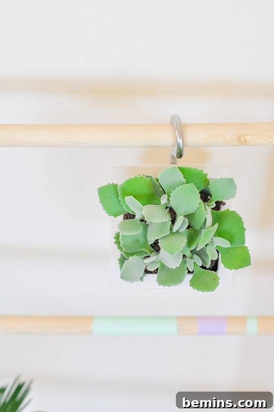 DIY Vertical Succulent Garden from an Old Ladder 17 DIY Ladder Garden with Hanging Succulents