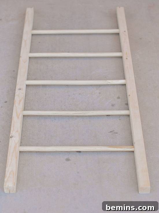 DIY Vertical Succulent Garden from an Old Ladder 7 Assembling the DIY Ladder Garden