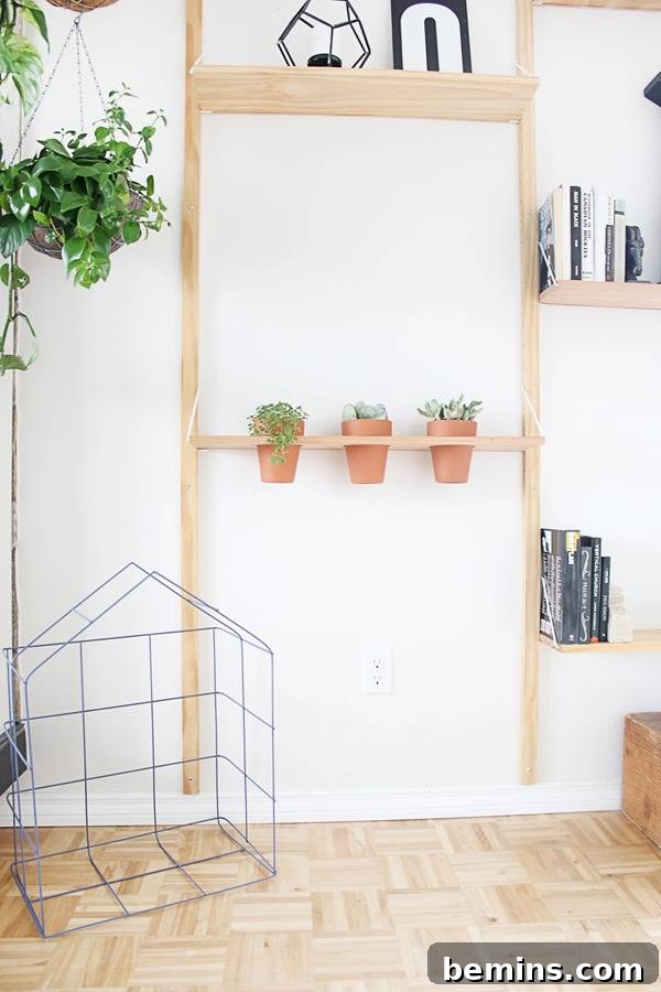 DIY Hanging Planter Shelf